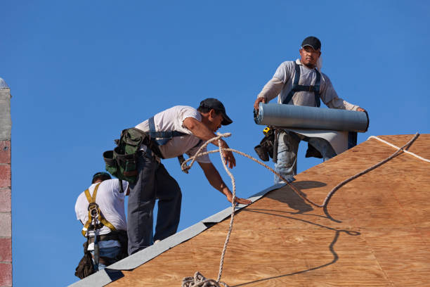Best Roof Inspection Near Me  in West Monroe, MI