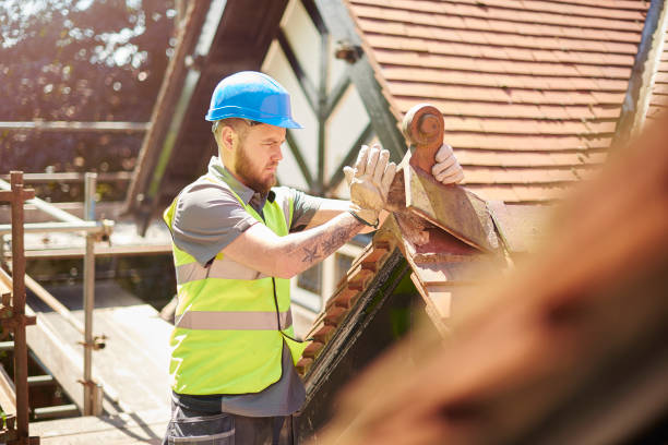 Best Roof Leak Repair  in West Monroe, MI