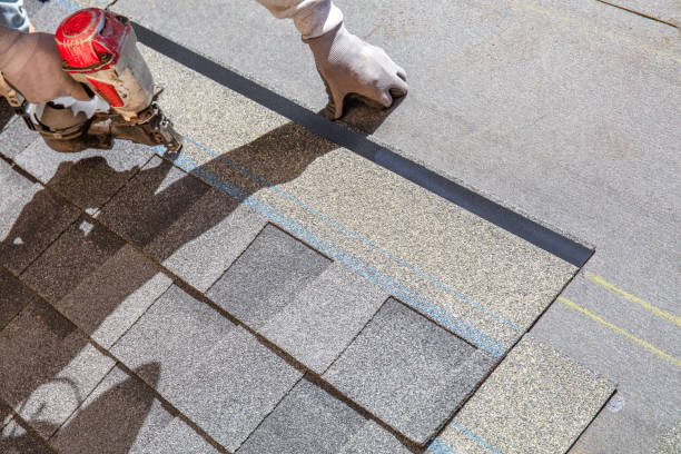 Best Local Roofing Companies  in West Monroe, MI