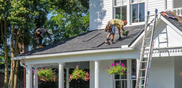 Best Roofing Contractor Near Me  in West Monroe, MI