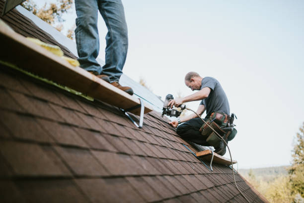 Best Roof Gutter Cleaning  in West Monroe, MI